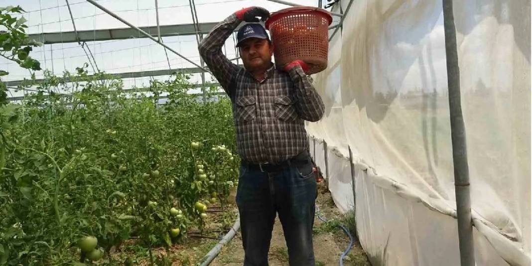 Yağışlar verimi etkiledi, hasat başladı! Kilosu 60 TL’den satılıyor 5